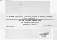 Coleroa robertiani image